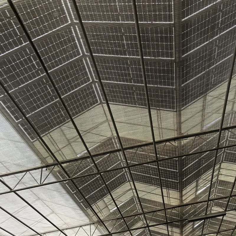 Фотоэлектрическая стеклянная теплица (4)