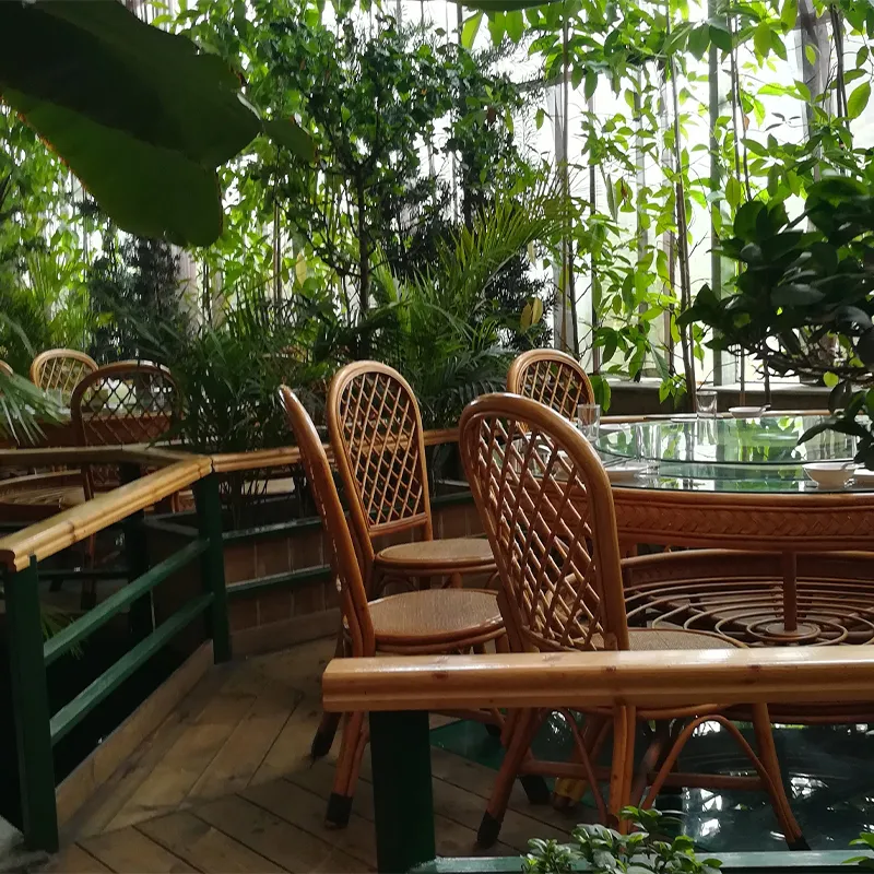 Экологический ресторан (2)