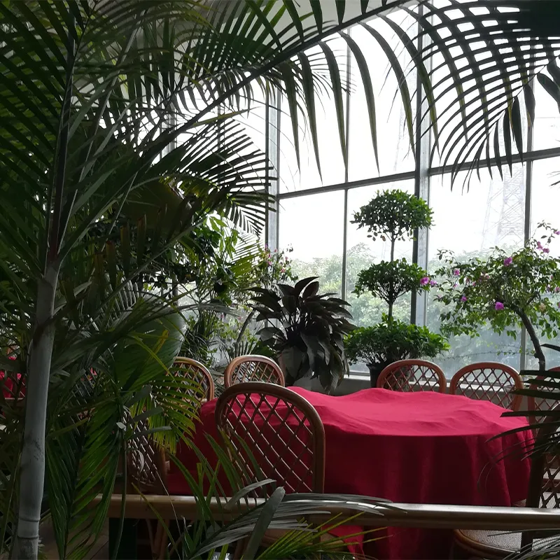 Экологический ресторан (4)