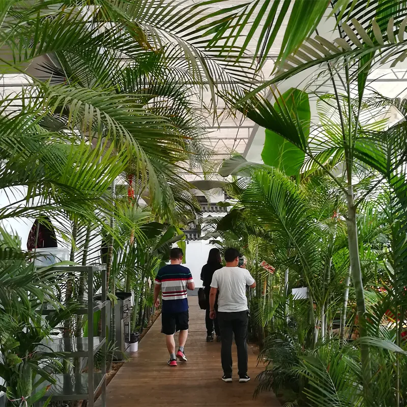 Экологический ресторан (5)